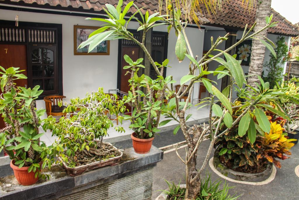Nyoman Guesthouse Canggu Exterior foto